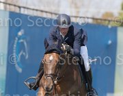 Eugster Pandore TosTour2013- S5 2123 : Arezzo, Arezzo Equestrian Centre, Eugster Manuel, Pandore de Bliniere, Toscana Tour 2013, foto di Stefano Secchi ©