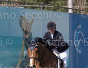 Faniglione Clairis TosTour2013- S5 2189 : Arezzo, Arezzo Equestrian Centre, Clairis, Faniglione Luna, Toscana Tour 2013, foto di Stefano Secchi ©