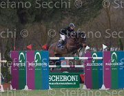 Fredlund Upperclass TosTour 2013- S5 7239 : Arezzo Equestrian Centre, Fredlund Elisabeth, Toscana Tour 2013, Upperclass, foto di Stefano Secchi ©