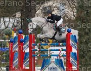 Ganassini Palermo TosTour 2013- S4 6542 : Arezzo Equestrian Centre, Ganassini Benedetta, Palermo, Toscana Tour 2013, foto di Stefano Secchi ©