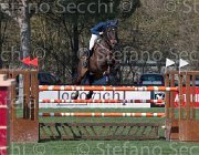 Garofalo Onnyl TosTour2013- S5 2538 : Arezzo, Arezzo Equestrian Centre, Garofalo Antonio, Onnyl des Serouis, Toscana Tour 2013, foto di Stefano Secchi ©