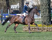 Garofalo Onnyl TosTour2013- S5 2539 : Arezzo, Arezzo Equestrian Centre, Garofalo Antonio, Onnyl des Serouis, Toscana Tour 2013, foto di Stefano Secchi ©