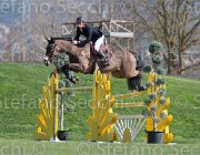 Gillespie Eros TosTour2013- S5 2747 : Arezzo, Arezzo Equestrian Centre, Eros H, Gillespie Graham, Toscana Tour 2013, foto di Stefano Secchi ©