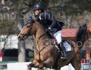 Giunti Aznavour TosTour2013- S5 2481 : Arezzo, Arezzo Equestrian Centre, Aznavour, Giunti Matteo, Toscana Tour 2013, foto di Stefano Secchi ©