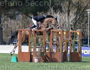 Giunti Aznavour TosTour2013- S5 2482 : Arezzo, Arezzo Equestrian Centre, Aznavour, Giunti Matteo, Toscana Tour 2013, foto di Stefano Secchi ©