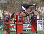 Giunti Aznavour TosTour2013- S5 2483 : Arezzo, Arezzo Equestrian Centre, Aznavour, Giunti Matteo, Toscana Tour 2013, foto di Stefano Secchi ©