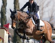 Groenveld Shiva TosTour2013- S5 2014 : Arezzo, Arezzo Equestrian Centre, Groenveld Heleen, Shiva, Toscana Tour 2013, foto di Stefano Secchi ©
