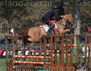 Grossato Liceo TosTour2013- S5 2406 : Arezzo, Arezzo Equestrian Centre, Grossato Massimo, Liceo, Toscana Tour 2013, foto di Stefano Secchi ©