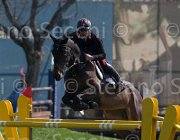 Grossato Quala TosTour2013- S5 2624 : Arezzo, Arezzo Equestrian Centre, Grossato Massimo, Quala, Toscana Tour 2013, foto di Stefano Secchi ©