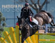 Grossato Quala TosTour2013- S5 2626 : Arezzo, Arezzo Equestrian Centre, Grossato Massimo, Quala, Toscana Tour 2013, foto di Stefano Secchi ©