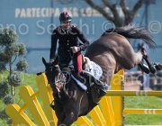 Grossato Quala TosTour2013- S5 2627 : Arezzo, Arezzo Equestrian Centre, Grossato Massimo, Quala, Toscana Tour 2013, foto di Stefano Secchi ©