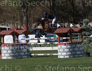 Guazzo Braise TosTour2013- S5 2421 : Arezzo, Arezzo Equestrian Centre, Braise du Marcq, Guazzo Olimpia, Toscana Tour 2013, foto di Stefano Secchi ©
