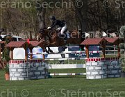Guazzo Braise TosTour2013- S5 2422 : Arezzo, Arezzo Equestrian Centre, Braise du Marcq, Guazzo Olimpia, Toscana Tour 2013, foto di Stefano Secchi ©