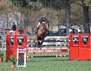 Guazzo Braise TosTour2013- S5 2423 : Arezzo, Arezzo Equestrian Centre, Braise du Marcq, Guazzo Olimpia, Toscana Tour 2013, foto di Stefano Secchi ©