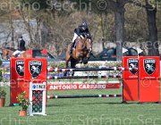 Guazzo Braise TosTour2013- S5 2424 : Arezzo, Arezzo Equestrian Centre, Braise du Marcq, Guazzo Olimpia, Toscana Tour 2013, foto di Stefano Secchi ©
