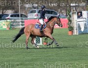 Guazzo Braise TosTour2013- S5 2426 : Arezzo, Arezzo Equestrian Centre, Braise du Marcq, Guazzo Olimpia, Toscana Tour 2013, foto di Stefano Secchi ©