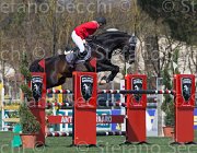Hartl Clever TosTour2013- S5 2463 : Arezzo, Arezzo Equestrian Centre, Clever Be B, Hatrl Romana, Toscana Tour 2013, foto di Stefano Secchi ©
