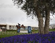 Heijdens Dallas TosTour 2013- S4 7237 : Arezzo Equestrian Centre, Dallas, Heijdens Wesley, Toscana Tour 2013, foto di Stefano Secchi ©