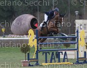 Heijdens Dallas TosTour 2013- S5 7728 : Arezzo Equestrian Centre, Dallas, Heijdens Wesley, Toscana Tour 2013, foto di Stefano Secchi ©