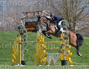 Heijdens Pavarottie TosTour2013- S5 2759 : Arezzo, Arezzo Equestrian Centre, Heijdens Wesley, Pavarottie H, Toscana Tour 2013, foto di Stefano Secchi ©