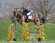 Heijdens Pavarottie TosTour2013- S5 2760 : Arezzo, Arezzo Equestrian Centre, Heijdens Wesley, Pavarottie H, Toscana Tour 2013, foto di Stefano Secchi ©