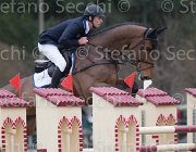 Hendrix Apollo TosTour 2013- S4 7069 : Apollo, Arezzo Equestrian Centre, Hendrix Michel, Toscana Tour 2013, foto di Stefano Secchi ©