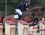 Hendrix Apollo TosTour 2013- S4 7070 : Apollo, Arezzo Equestrian Centre, Hendrix Michel, Toscana Tour 2013, foto di Stefano Secchi ©