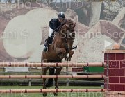 Isoardi Lumiere TosTour 2013- S4 6914 : Arezzo Equestrian Centre, Isoardi Valentina, Lumiere d'Aix, Toscana Tour 2013, foto di Stefano Secchi ©