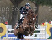 Isoardi Lumiere TosTour 2013- S4 6919 : Arezzo Equestrian Centre, Isoardi Valentina, Lumiere d'Aix, Toscana Tour 2013, foto di Stefano Secchi ©