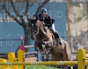 Kainich Tamarix TosTour2013- S5 2648 : Arezzo, Arezzo Equestrian Centre, Kainich Davide, Tamarix FM, Toscana Tour 2013, foto di Stefano Secchi ©