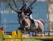 Kainich Tamarix TosTour2013- S5 2649 : Arezzo, Arezzo Equestrian Centre, Kainich Davide, Tamarix FM, Toscana Tour 2013, foto di Stefano Secchi ©