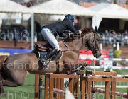 Kainich Tamarix TosTour2013- S5 2655 : Arezzo, Arezzo Equestrian Centre, Kainich Davide, Tamarix FM, Toscana Tour 2013, foto di Stefano Secchi ©