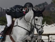 Kawiak Centino TosTour 2013- S5 7411 : Arezzo Equestrian Centre, Centino, Kawiak Igor, Toscana Tour 2013, foto di Stefano Secchi ©