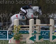 Kawiak Centino TosTour 2013- S5 7755 : Arezzo Equestrian Centre, Centino, Kawiak Igor, Toscana Tour 2013, foto di Stefano Secchi ©