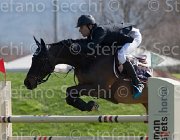 Kawiak Noah TosTour2013- S5 2118 : Arezzo, Arezzo Equestrian Centre, Kawiak Igor, Noah de Bacon, Toscana Tour 2013, foto di Stefano Secchi ©