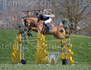 Kawiak Tardonne TosTour2013- S5 2874 : Arezzo, Arezzo Equestrian Centre, Kawiak Igor, Tardonne, Toscana Tour 2013, foto di Stefano Secchi ©