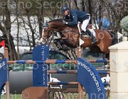 Kirchhoff Cabachon TosTour 2013- S4 6426 : Arezzo Equestrian Centre, Cabachon, Kirchhoff Ulrich, Toscana Tour 2013, foto di Stefano Secchi ©