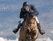 Krasyuk Oleg TosTour2013- S5 2735 : Arezzo, Arezzo Equestrian Centre, Krasyuk Oleg, Siec Goldrush, Toscana Tour 2013, foto di Stefano Secchi ©
