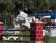 Kristensen Leander TosTour2013- S5 2247 : Arezzo, Arezzo Equestrian Centre, Kristensen Kim, Leander D, Toscana Tour 2013, foto di Stefano Secchi ©