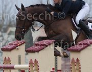Kuyten Dakota TosTour 2013- S4 6868 : Arezzo Equestrian Centre, Dakota du Buisson, Kuyten Suus, Toscana Tour 2013, foto di Stefano Secchi ©