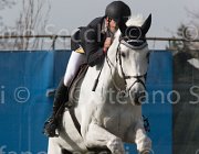Lambre Eorn TosTour 2013- S5 3268 : Arezzo Equestrian Centre, Eorn de Monte Longu, Lambre Santiago, Toscana Tour 2013, foto di Stefano Secchi ©