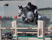 Lambre Eorn TosTour 2013- S5 3270 : Arezzo Equestrian Centre, Eorn de Monte Longu, Lambre Santiago, Toscana Tour 2013, foto di Stefano Secchi ©