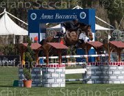 Lambre Flamengo TosTour2013- S5 2271 : Arezzo, Arezzo Equestrian Centre, Flamengo, Lambre Santiago, Toscana Tour 2013, foto di Stefano Secchi ©
