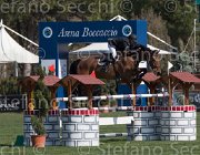 Lambre Flamengo TosTour2013- S5 2272 : Arezzo, Arezzo Equestrian Centre, Flamengo, Lambre Santiago, Toscana Tour 2013, foto di Stefano Secchi ©