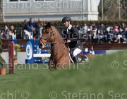 Lambre Flamengo TosTour2013- S5 2273 : Arezzo, Arezzo Equestrian Centre, Flamengo, Lambre Santiago, Toscana Tour 2013, foto di Stefano Secchi ©