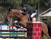 Lambre Flamengo TosTour2013- S5 2274 : Arezzo, Arezzo Equestrian Centre, Flamengo, Lambre Santiago, Toscana Tour 2013, foto di Stefano Secchi ©