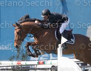 Lambre Flamengo TosTour2013- S5 2278 : Arezzo, Arezzo Equestrian Centre, Flamengo, Lambre Santiago, Toscana Tour 2013, foto di Stefano Secchi ©