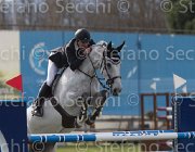 Lambre Wonami TosTour 2013- S5 7462 : Arezzo Equestrian Centre, Lambre Santiago, Toscana Tour 2013, Wonami vd Aard, foto di Stefano Secchi ©