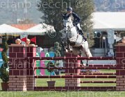 Lever Oreal TosTour2013- S5 2023 : Arezzo, Arezzo Equestrian Centre, Lever Philip, Oreal des Etains Z, Toscana Tour 2013, foto di Stefano Secchi ©