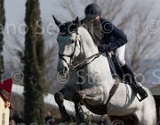 Lever Oreal TosTour2013- S5 2025 : Arezzo, Arezzo Equestrian Centre, Lever Philip, Oreal des Etains Z, Toscana Tour 2013, foto di Stefano Secchi ©
